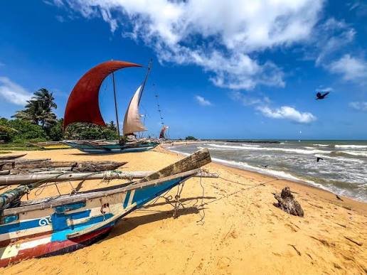 The Beauty of Negombo Beach